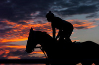 palmmeadows12_jd