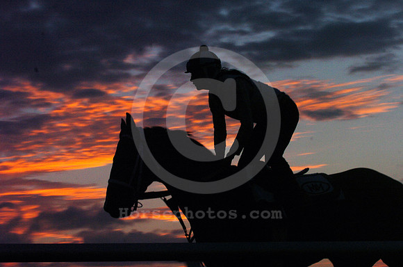 palmmeadows12_jd