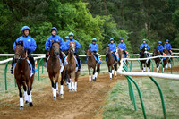 newmarket_godolphin10_fs