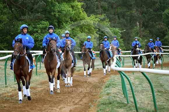 newmarket_godolphin10_fs