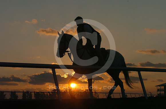 palmmeadows01_02_jd