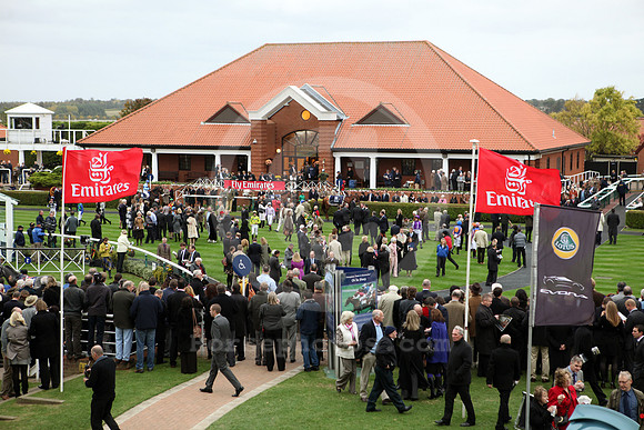 newmarket_parade_ring03_fs