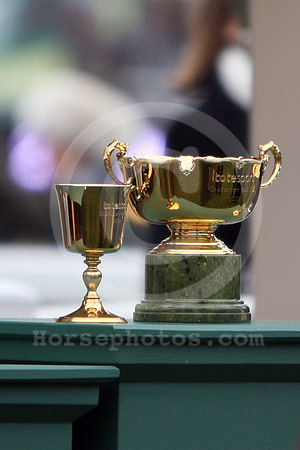 goldcup_trophy16_fs