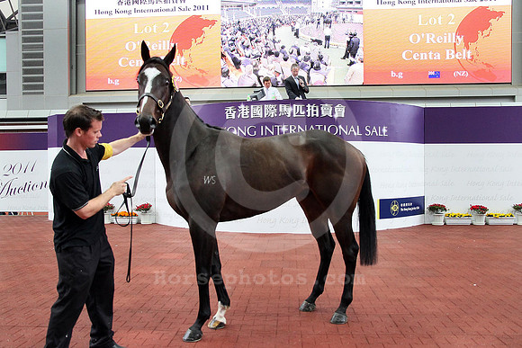 lot2_saletopper_hongkongsale02
