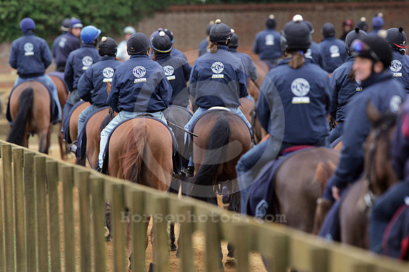 newmarket_training25_fs