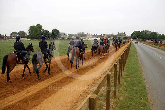 newmarket_training20_fs