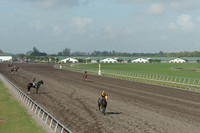 palmmeadows11_jd