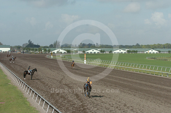 palmmeadows11_jd