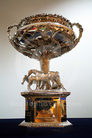 hong_kong_trophy03_fs