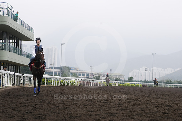 shatinracecourse01_tm