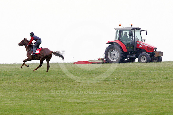 newmarket_training29_fs