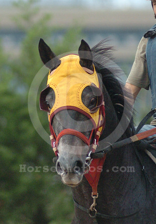 blinkers01_hr