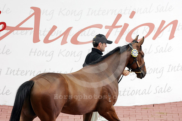hongkong_sale02_fs