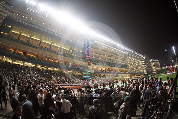 happyvalleyracecourse06_fs