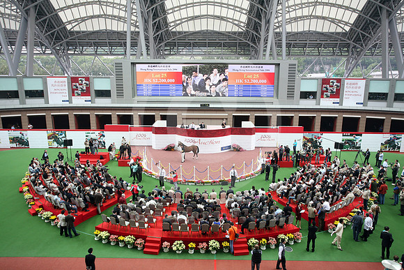 hongkong_sale01_fs