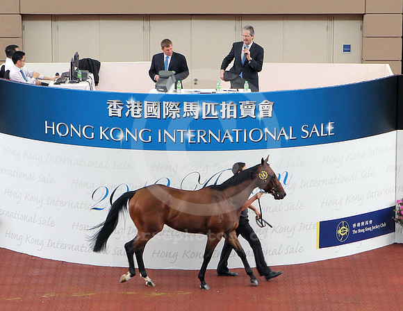 lot14_hongkonginternationalsale02