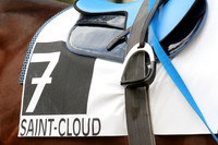 saintcloudracecourse_saddleblanket10_fs