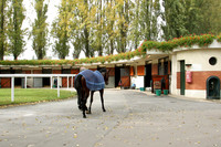 saintcloudracecourse_paradering07_fs