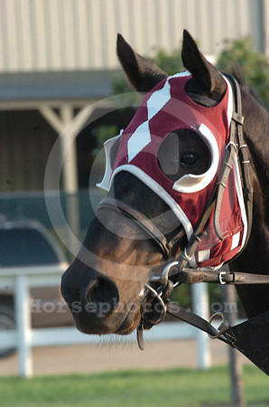 blinkers11_hr