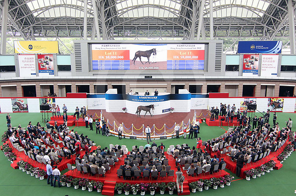 lot11_hongkonginternationalsale01
