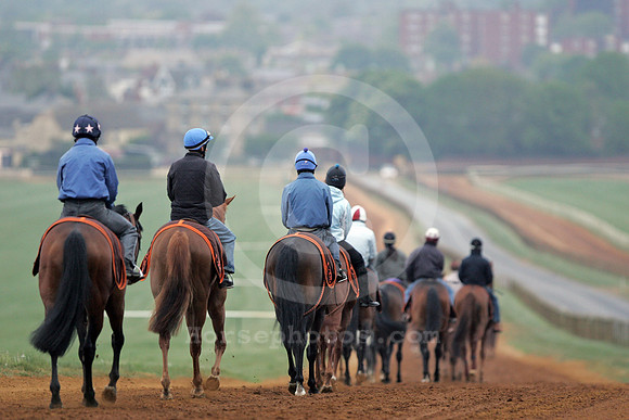 newmarket_training01_fs