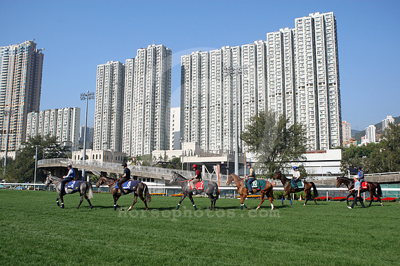 shatinracecourse10_fs