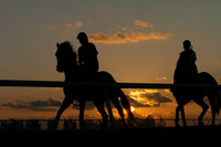 palmmeadows06_jd