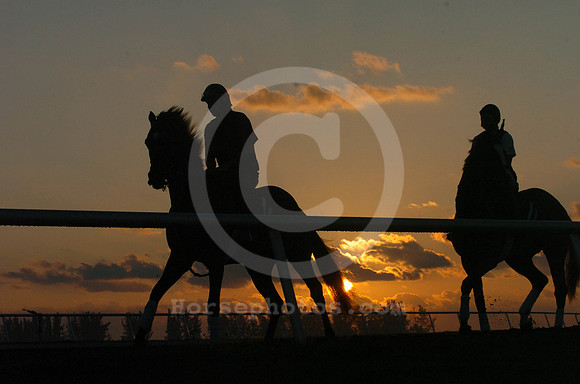 palmmeadows06_jd