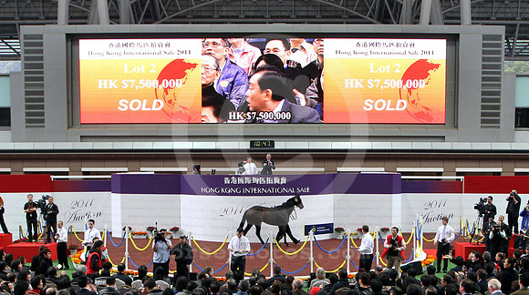 lot2_saletopper_hongkongsale01