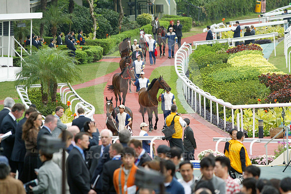 hong_kong_shatin02_fs