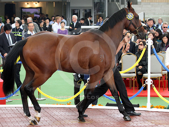 lot14_hongkonginternationalsale01
