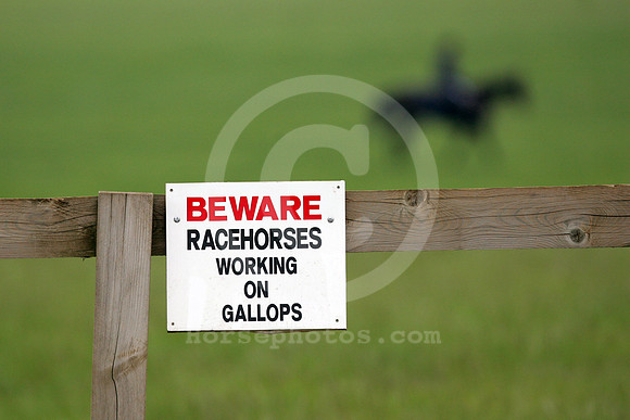 newmarket_training14_fs