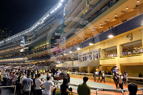 HAPPYVALLEY28_TM