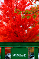 keeneland_fall08_tt.jpg