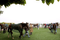 saintcloudracecourse_winnercircle06_fs