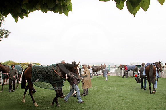 saintcloudracecourse_winnercircle06_fs