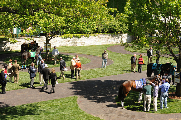 keenelandscene03_me