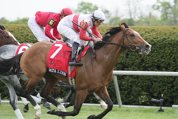 Keeneland12032_rk