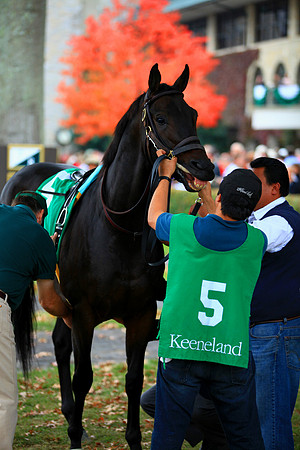 keeneland_fall10_tt.jpg