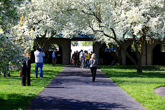 keenelandspring28_tt