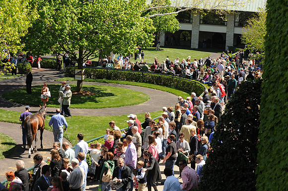 keenelandscene06_me