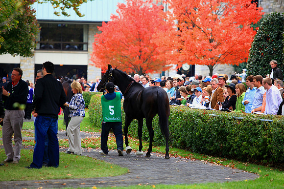 keeneland_fall09_tt.jpg
