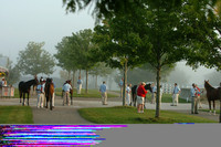 kee04_keenelandmorning01_jd