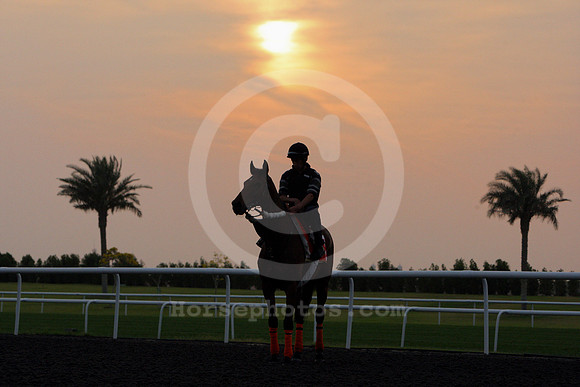dubai_morning_trackwork10_fs