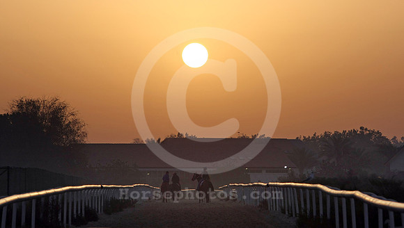 nadalsheba_workout21_fs