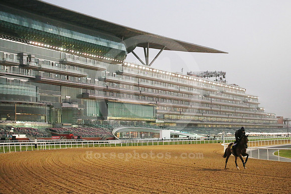 Meydan_grandstand195