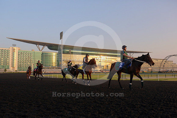 dubai_morning_trackwork13_fs