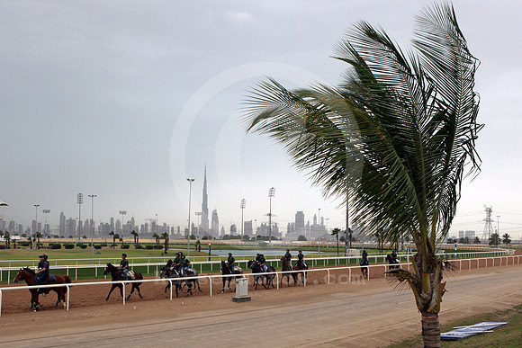 dubai_training_horse109_fs