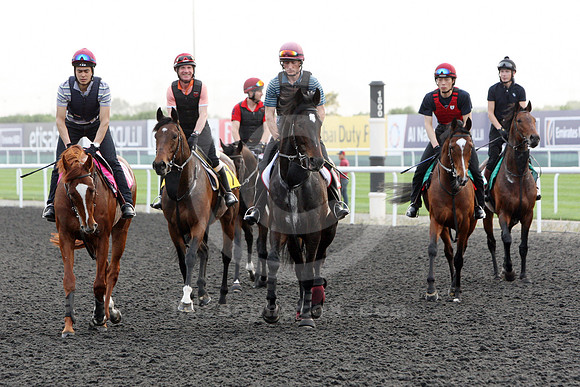 dubai_morning_trackwork01_fs