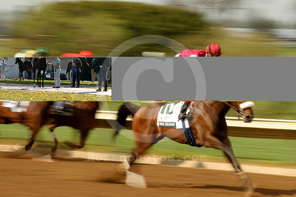 dubaiescapade1_mw